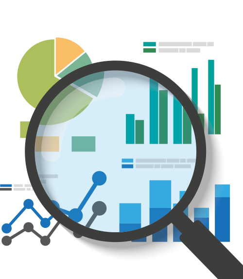 Data Analyst